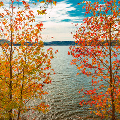 View of lake through beautiful autumn maple trees.