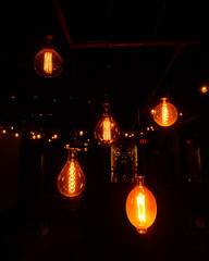 Lightbulb Collection