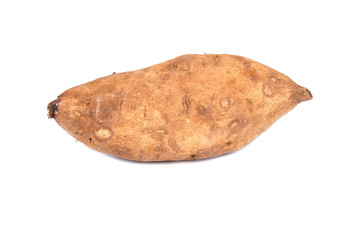 american potato