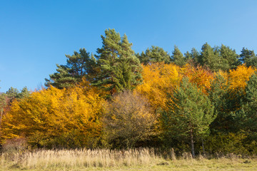 Colorful Slovakian nature in Autumn