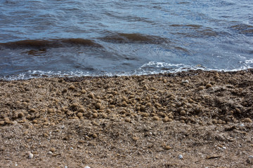 Mallorca, Urlaub, Balearen, Spanien, Sonne, Meer, Mittelmeer, Strand, Erholung