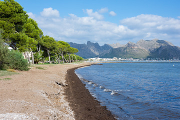 Fototapeta na wymiar Mallorca, Urlaub, Balearen, Spanien, Sonne, Meer, Mittelmeer, Strand, Erholung