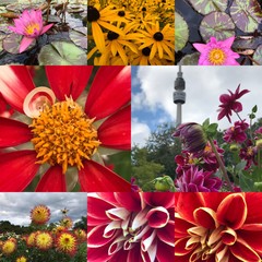 Blumen Westfalenpark