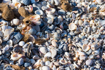 Mallorca, Urlaub, Balearen, Spanien, Sonne, Meer, Mittelmeer, Strand, Erholung