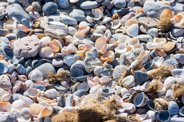 Mallorca, Urlaub, Balearen, Spanien, Sonne, Meer, Mittelmeer, Strand, Erholung