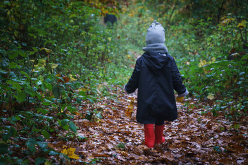Little kid walking on forest path at autumn - 178121770