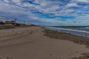 Beach and Seabirds