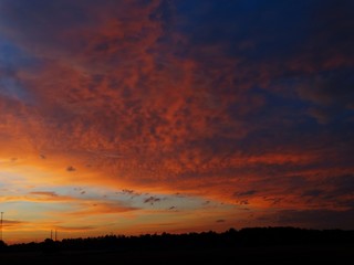 Obraz premium Brilliant color