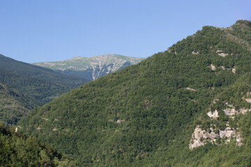 Fototapeta na wymiar Sentiero, valle della Volpara, estate 