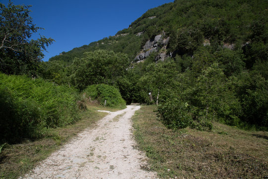 Sentiero, valle della Volpara, estate 
