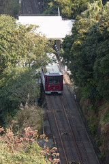 Fototapeta premium Hong Kong Tram at Victoria Peak in China