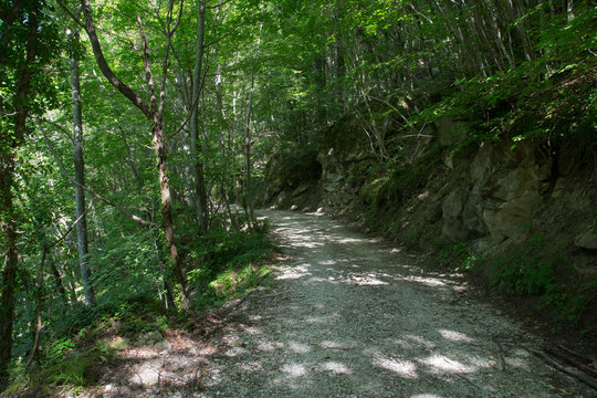 Sentiero, valle della Volpara, estate 