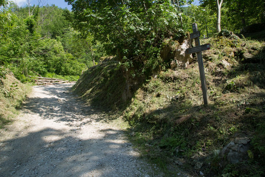Sentiero, valle della Volpara, estate 