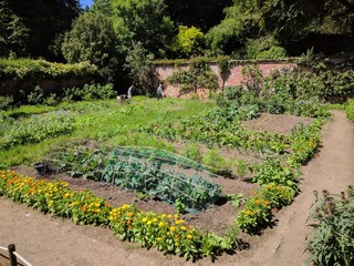 Kitchen garden with vegetable beds
