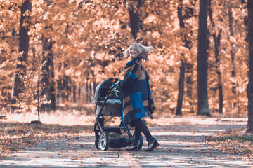 A young mother with a stroller walks through the autumn park. Walking with an infant in the open air in a pine forest. Newborn, family, child, parenthood.