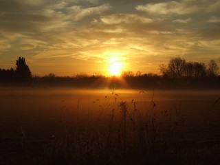 Morning Light