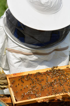Beekeeper
