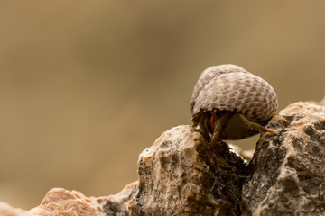 Mallorca, Urlaub, Balearen, Spanien, Sonne, Meer, Mittelmeer, Strand, Erholung