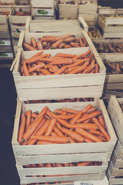 cagettes de carottes