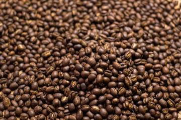 Depth of field shot, soft focus, Medium dark Roasted peaberry coffee beans background.