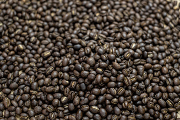 Depth of field shot, soft focus, Medium dark Roasted peaberry coffee beans background.