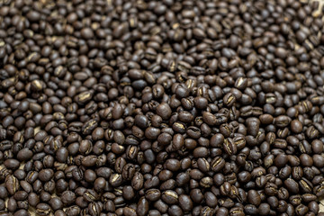 Depth of field shot, soft focus, Medium dark Roasted peaberry coffee beans background.