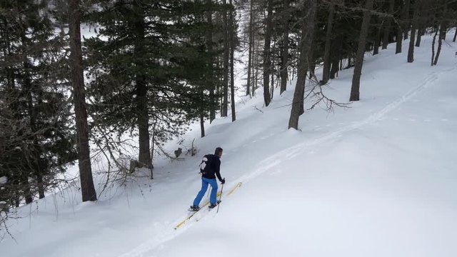 Overhead aerial drone flight establisher over skier man skiing in snowy forest woods.Winter snow in mountain nature outdoors.Ski mountaineering activity. straight-down perspective.4k top view video