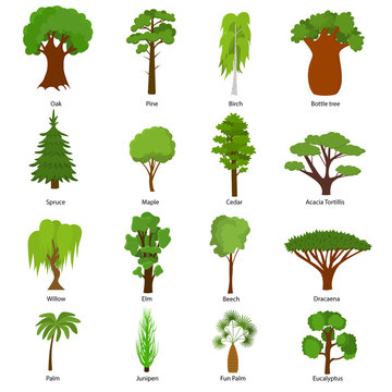 Different Green Tree Types Icons Set. Vector