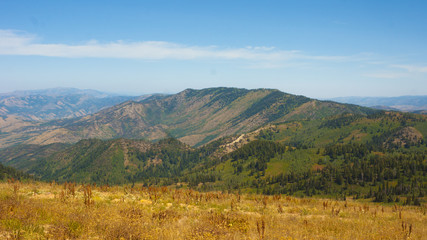 Powder Mountain in the Summer