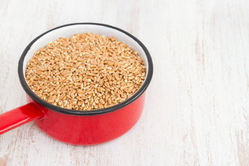 uncooked spelt in dish