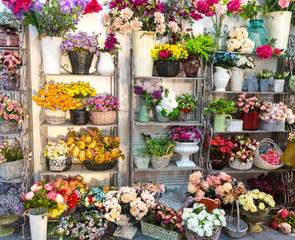 Flower shop, bouquets on shelf, florist business