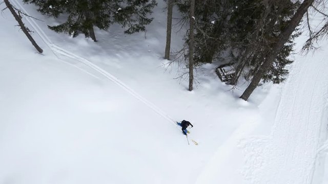 Overhead aerial drone flight establisher over skier man skiing in snowy forest woods.Winter snow in mountain nature outdoors.Ski mountaineering activity. straight-down perspective.4k top view video