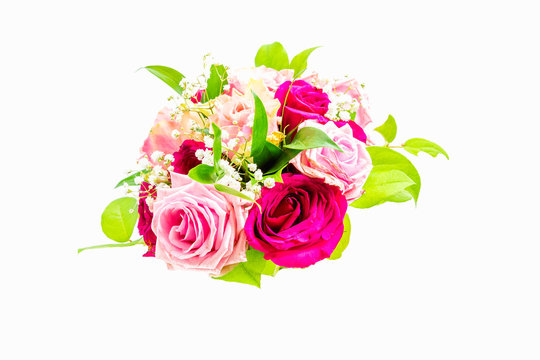 Pink and red rose flowers arrangement on white background