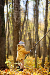 Little child walking in the forest at autumn day