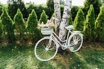 Fototapeta premium Wedding decor with white bicycle and flowers