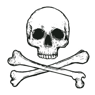 vector illustration of skull and crossbones