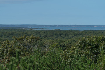 Fototapeta premium Beautiful scenic overlook view of bay side harbor past tropical forest during the day time