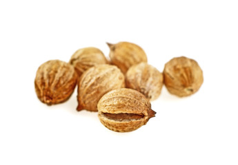Coriander seeds isolated on white background, macro image, selective focus.