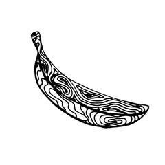 Black ink sketch of banana isolated on a white background. Vector illustration