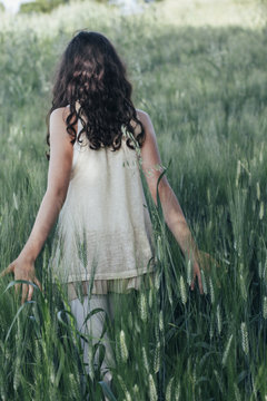 Beautiful girl walking in the middle of a wheat field