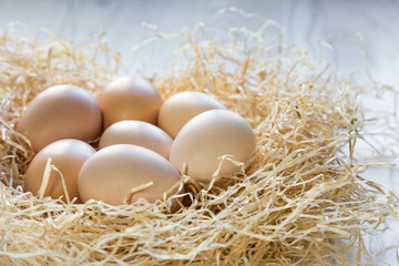 organic chicken eggs