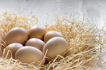 organic chicken eggs