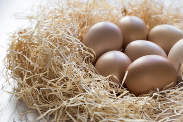 organic chicken eggs