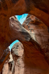 blue sky through the natural arches in Spooky Slot Canyon
Hole in the Rock Road, Grand Staircase Escalante National Monument, Garfield County, Utah, USA