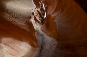 carved narrow walls in Spooky Slot Canyon
Hole in the Rock Road, Grand Staircase Escalante National Monument, Garfield County, Utah, USA
