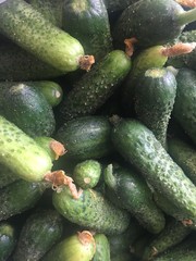 cucumber
