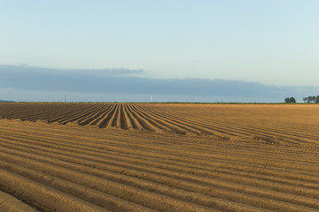 Plowed agricultural fields prepared for planting crops in Norman