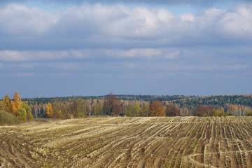 Fototapeta na wymiar October. Autumn colors of nature. Compressed field of corn. Sunlit hills.