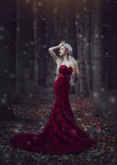 Beautiful woman with long white hair posing in a luxurious red dress with a long train standing in...