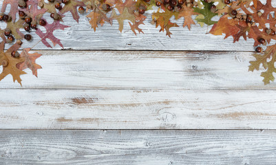 Autumn acorns and leaves on rustic white wood in top arch border